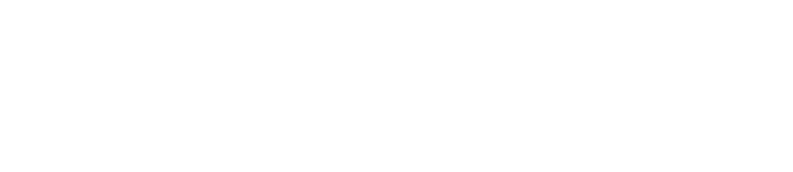 SLcomm 20x1 anos